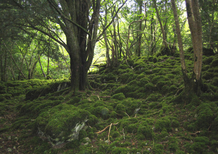 Killarney National Park